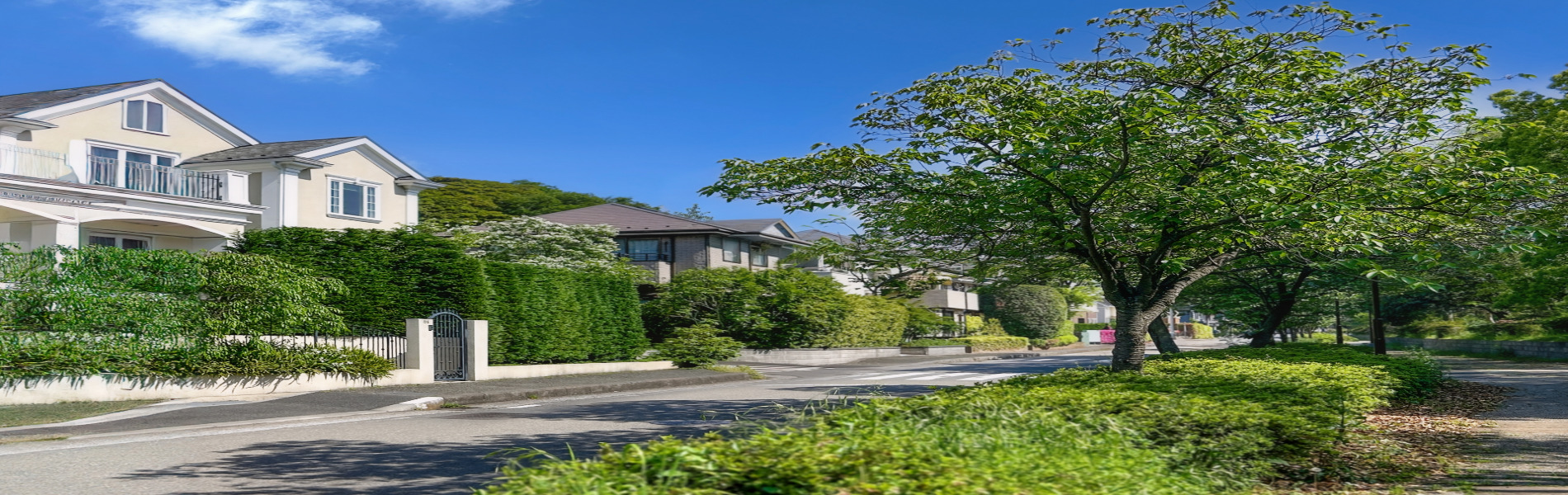 詳しくはこちら