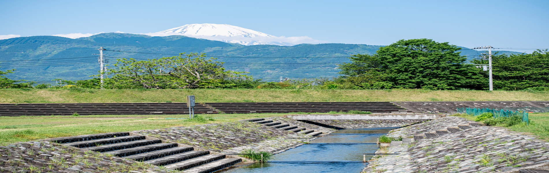 詳しくはこちら